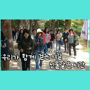 졸업을 향한 한 걸음, 평생학습학과 2학년들의 남이섬 졸업 여행!｜오산대학교 Osan University